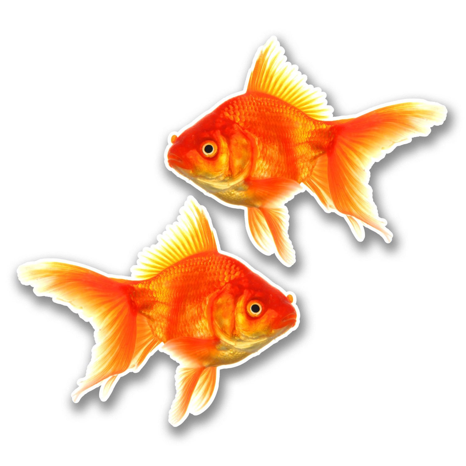 2 x 10cm Goldfish Vinyl Sticker Decal Laptop Kids Car Fish Aquarium Gift #6289 (10cm Wide x 8.2cm Tall)