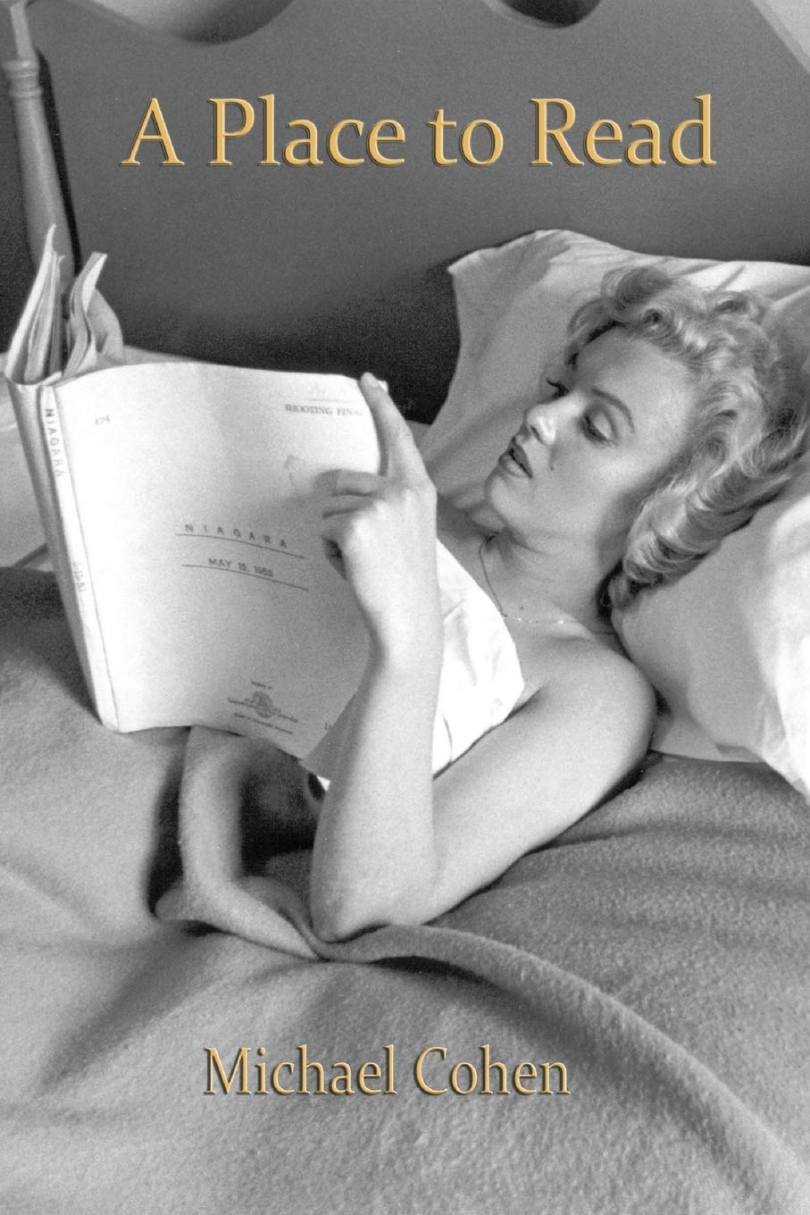 Buy A Place to Read: Life and Books — BookShops.in