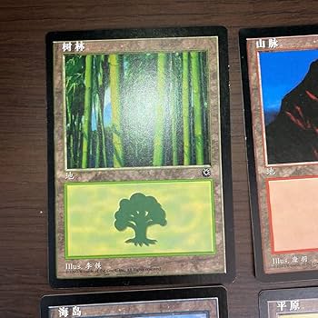 MTG 沼 中国語 簡体字 Ⅴ 5枚セット MTG 沼 中国語 簡体字 Ⅴ 5枚セット MTG 沼 中国語 簡体字 Ⅴ 5