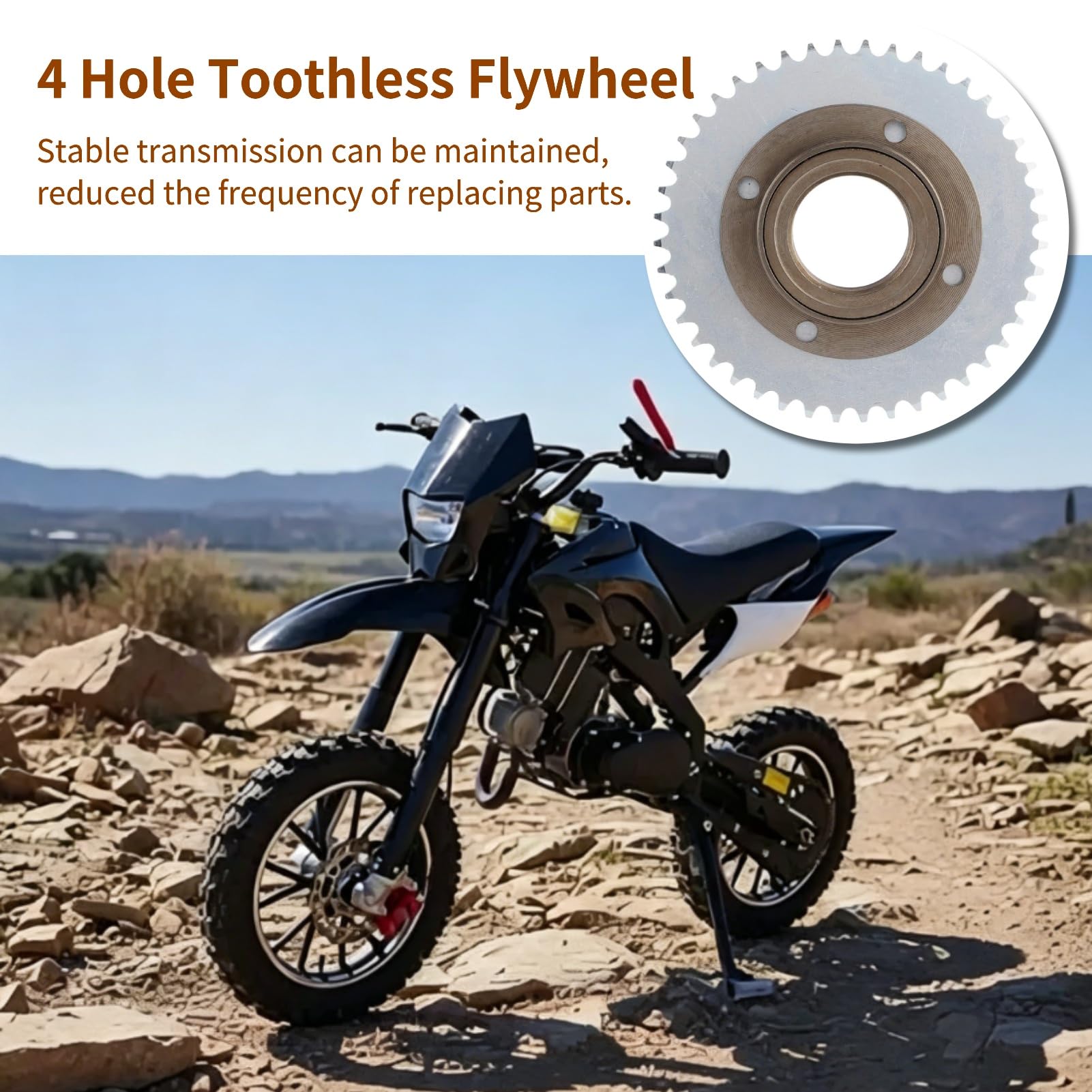 Amazon.com: 4 Hole Toothless Freewheel, Bikes Single Speed