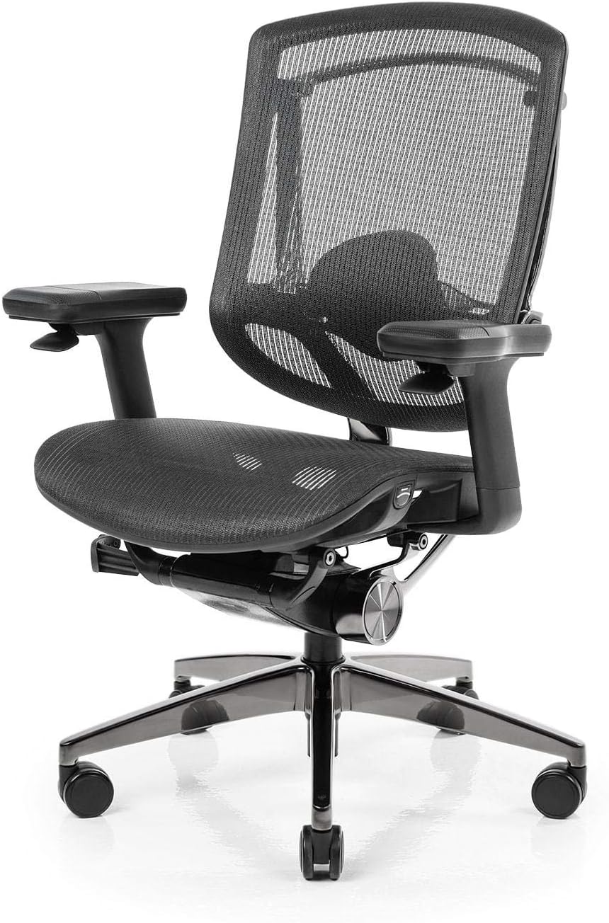 NeueChair Obsidian | Ergonomic Office Computer Chair (Subsidiary of Secretlab)