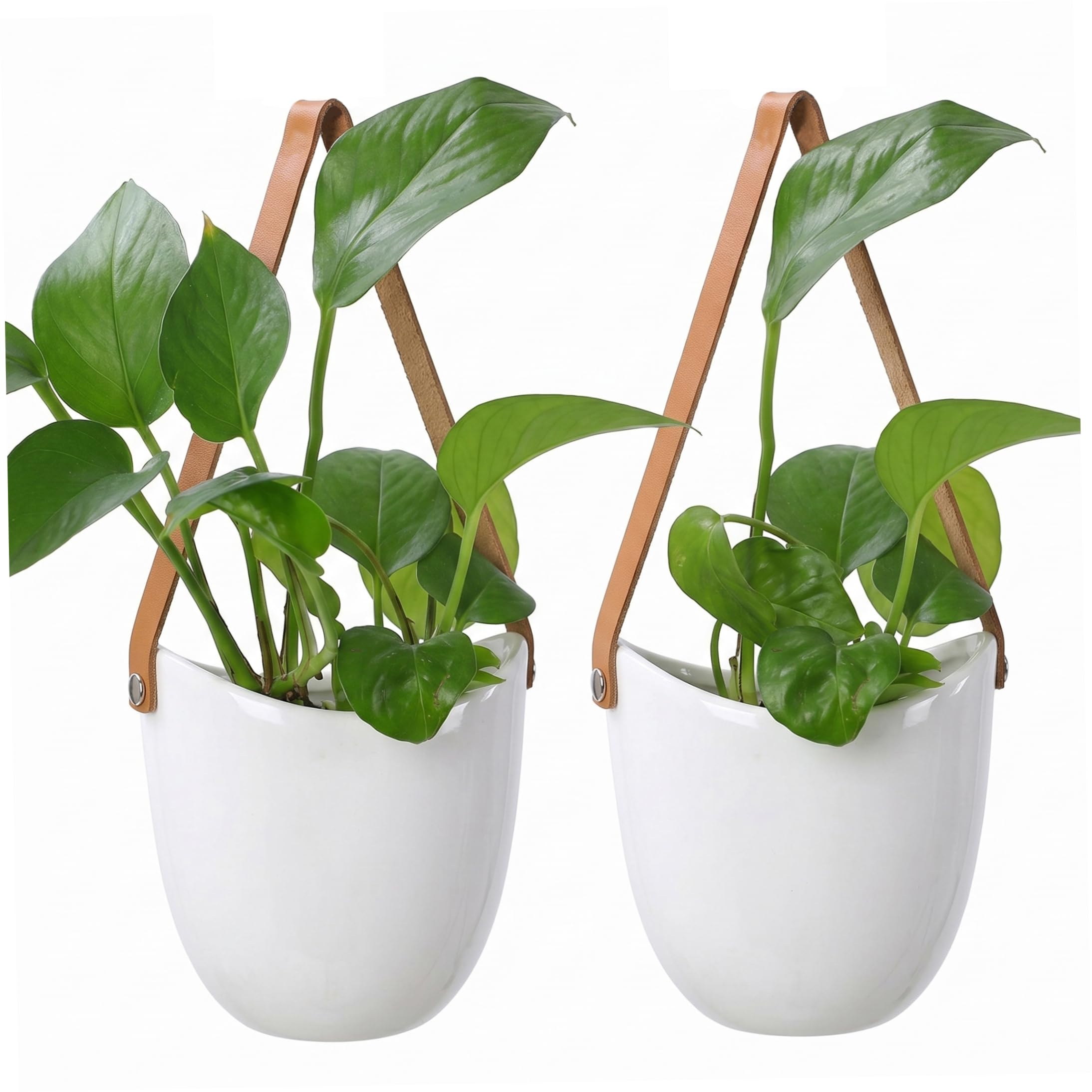 PithCogent Wall Mounted Planter |2pcs Small Hanging Planter, Non-porous Ceramic Wall Hanging For Hydroponics & Succulents, Indoor Decor, White