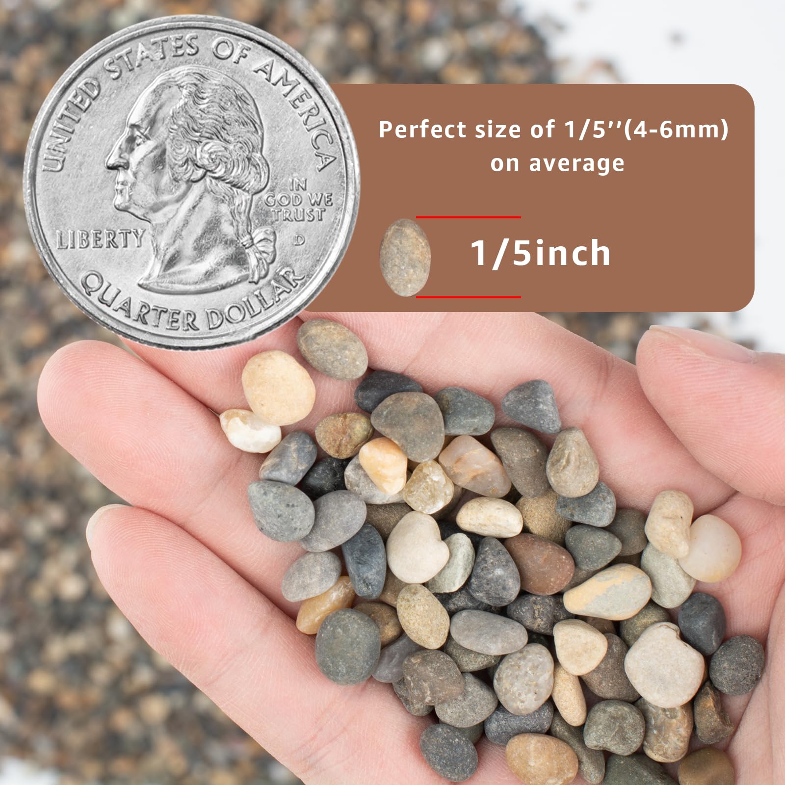 Rocas naturales de río de 5 libras, grava de acuario de 0.25 pulgadas, guijarros pequeños para plantas, grava de guisantes para peceras, rocas decorativas para jardinería, macetas, rellenos de