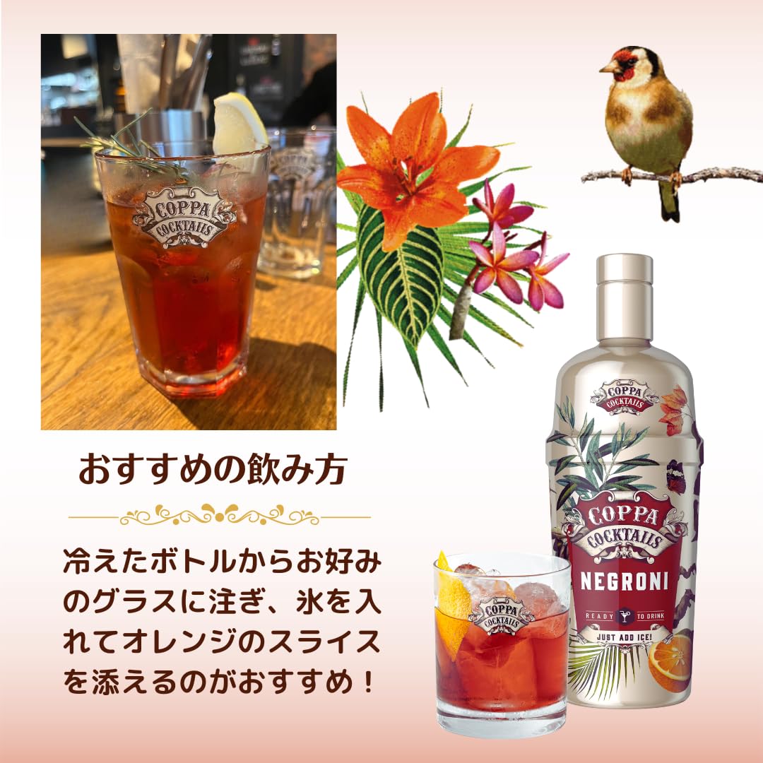 Amazon.co.jp: 【コッパカクテル ネグローニ】Coppa Cocktails Negroni