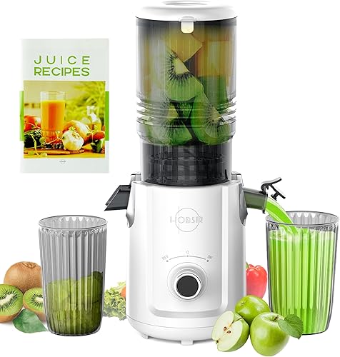 Hobsir - Exprimidores de exprimidores de prensa en frío de 5.3 pulgadas, máquinas de exprimidor lento con 300 W, máquinas de jugo de canal de