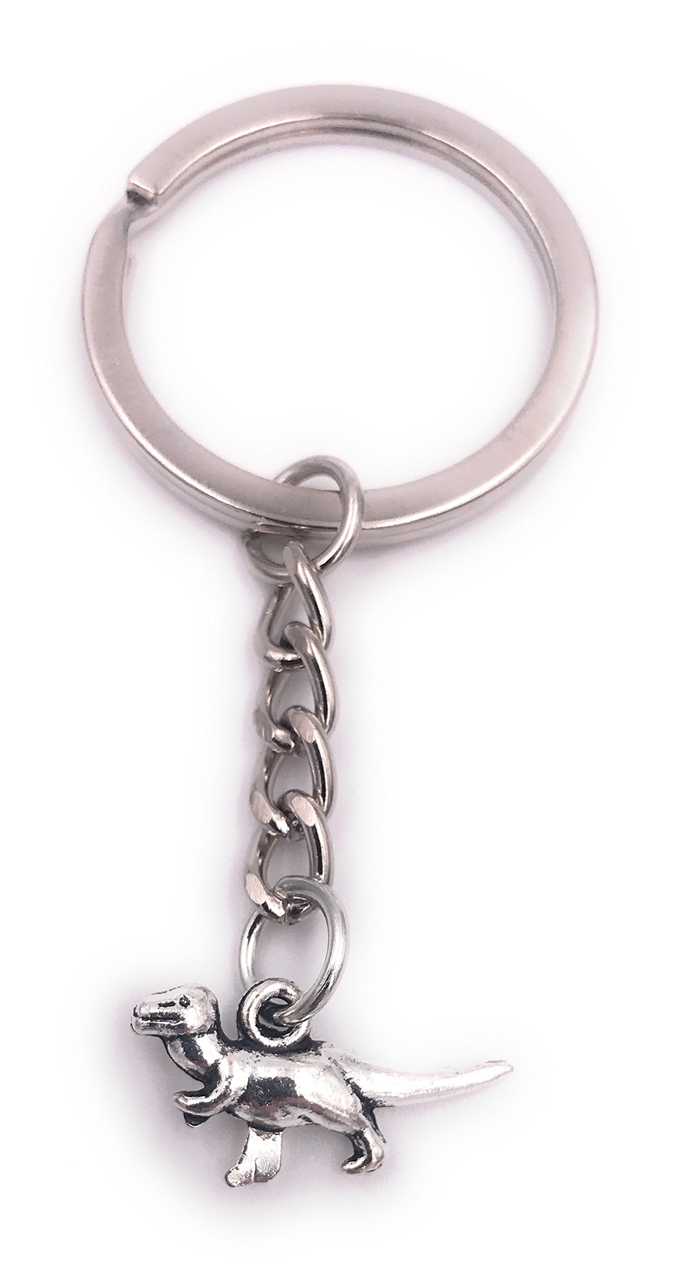 H-Customs Trex Dino Rex Tyrannosaurus Rex Keyring Pendant Silver Metal