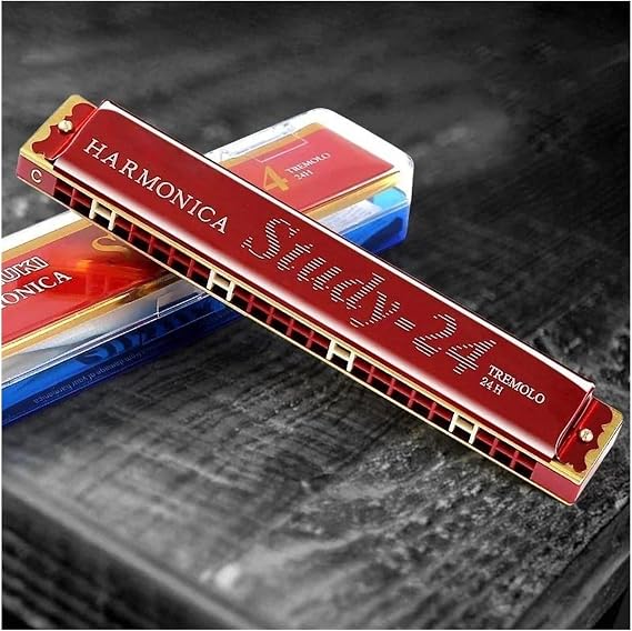 24 Hole Harmonica Tremolo Suzuki Mouth Organ Gaita Jew's Harp With Case Music Instrument Key C Blues Synthesizer Professional(A)