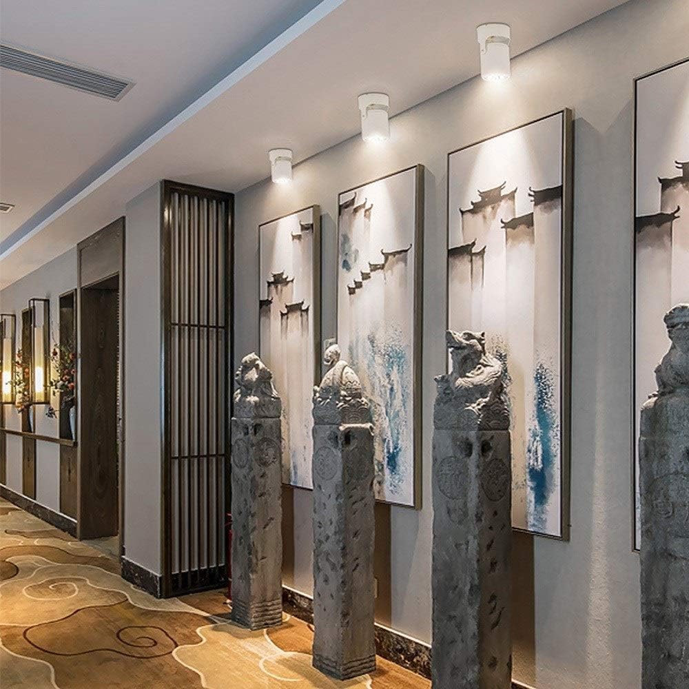 Recessed 360°Adjustable Aluminum LED Spotlight COB Anti-Glare Clothing Store Ceiling Lighting Fixture Decorated Barbershop Baking Shop Cafe Bar Downlight Spot Lamp Integrated