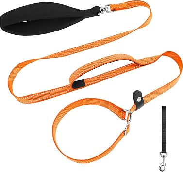 XiaZ 6FT Dog Leash with Comfortable Flat Collar and Soft Padded Handle,Nylon Reflective Double Handle No Pull Leash for Small Medium Large Dogs, Training Walking Running Orange