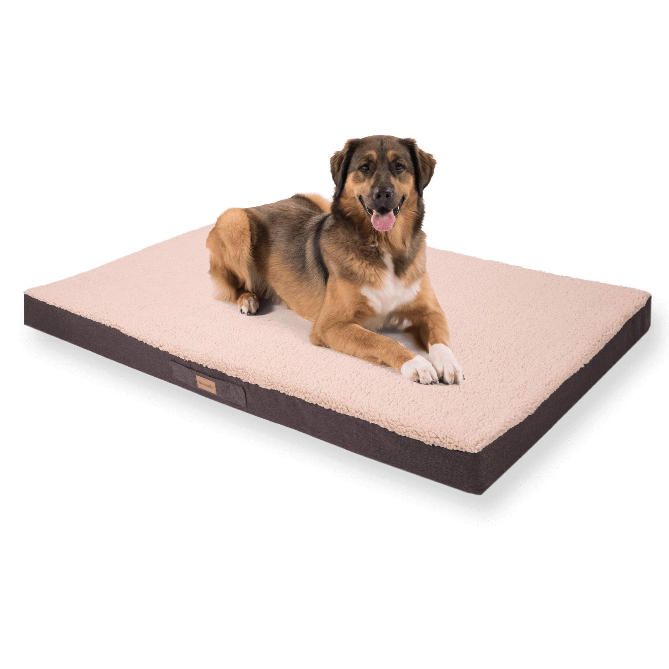 Balu Hundebett in Dunkelbraun, waschbar, orthopädisch und rutschfest, kuscheliges Hundekissen mit atmungsaktivem Memory-Schaum, Größe XXL (120 x 100 x 10 cm) Beige