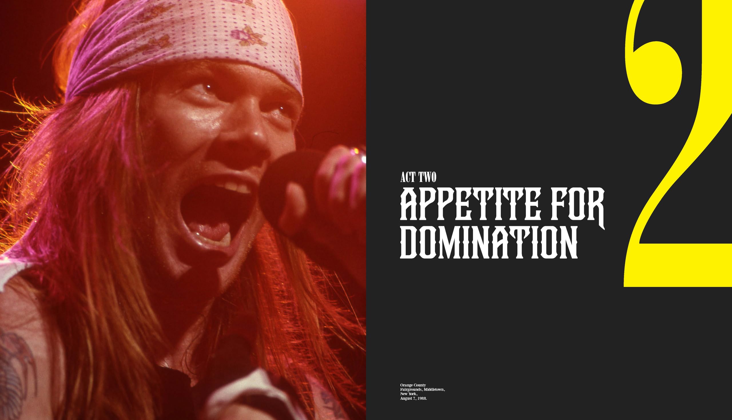Guns N' Roses at 40