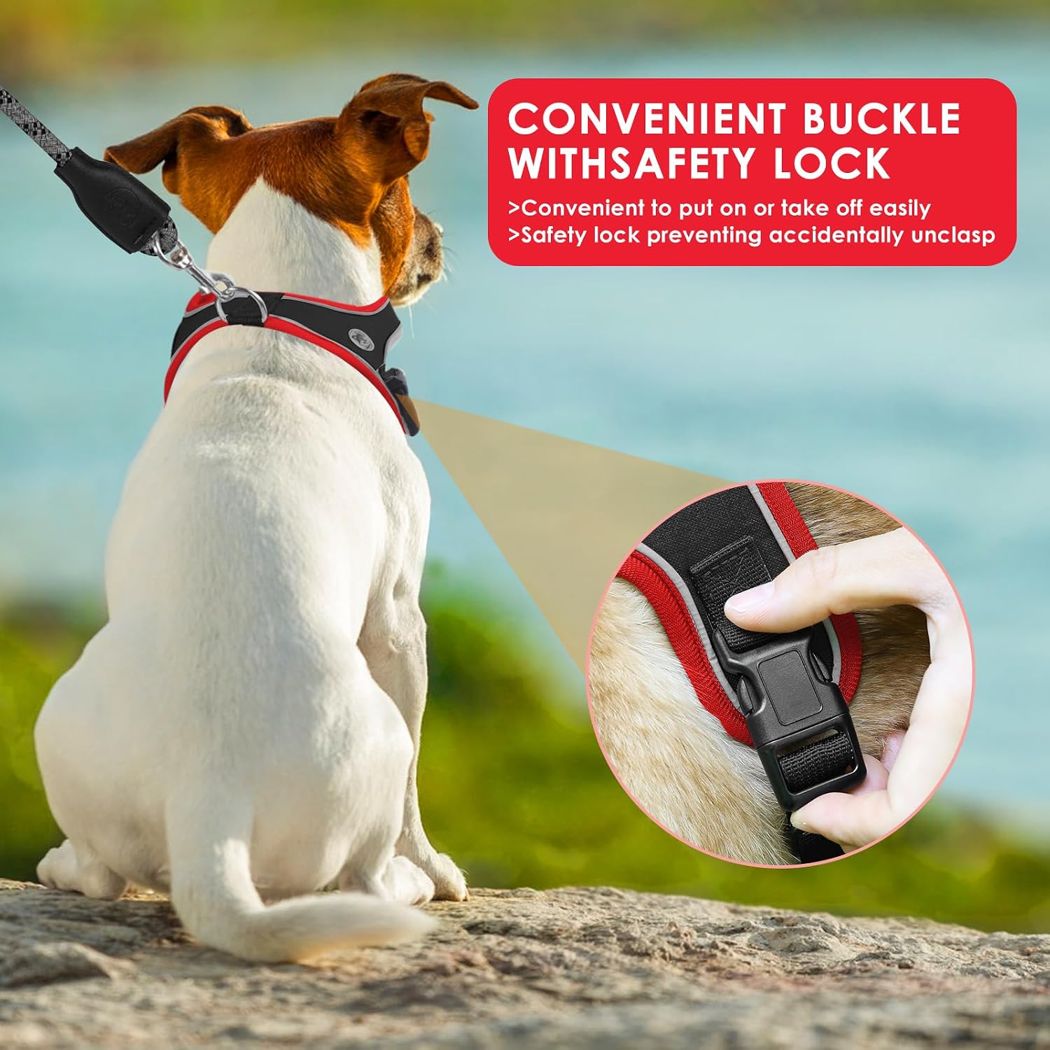Dog Harness and Leash Set, No Pull Saddle Style Pet Harness, Breathable Mesh Adjustable Reflective Dog Vest for Medium Small Dogs Harness 2 D-Rings, Black, S