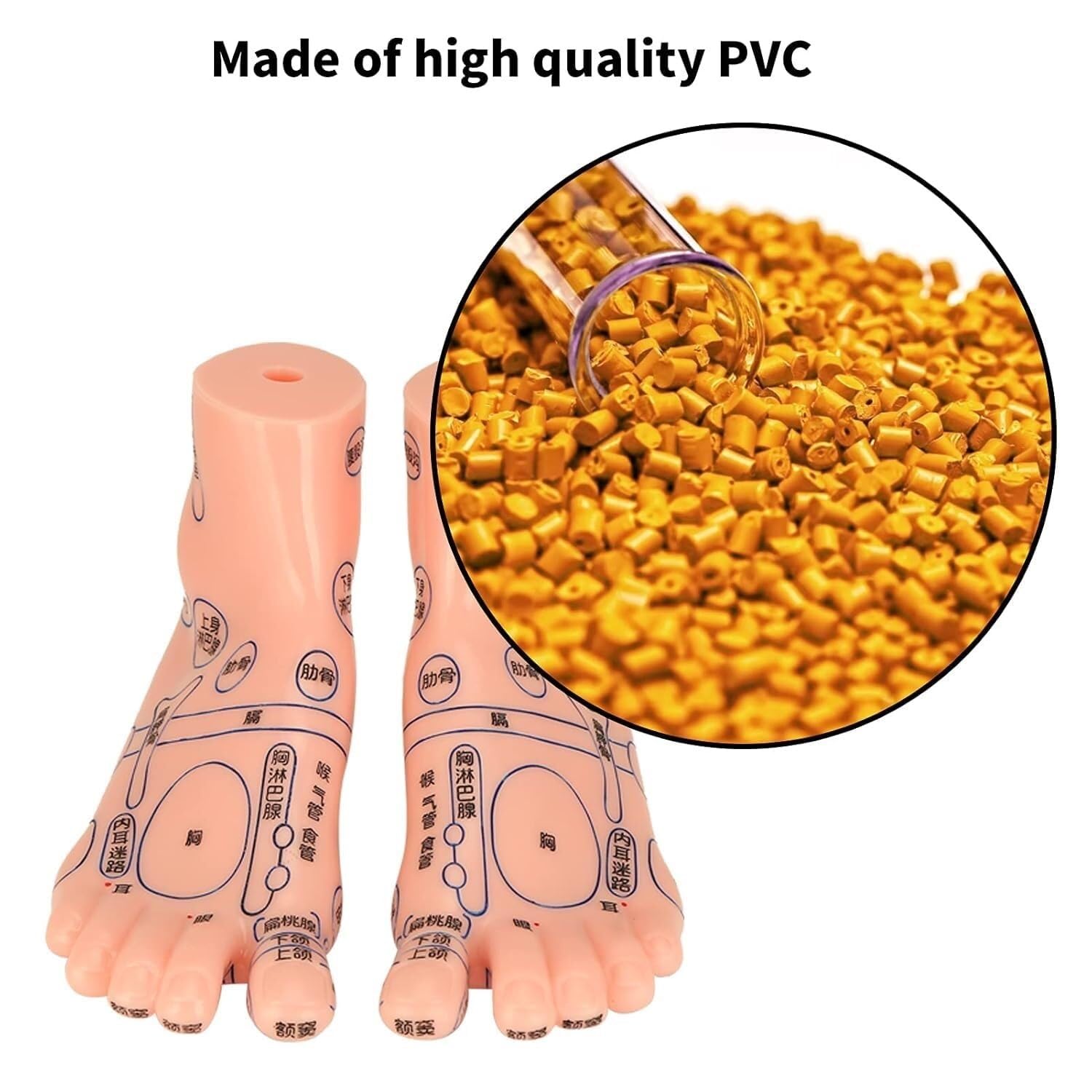 Human Foot Acupuncture Teaching aids Pressure Point Massage Tools, Foot Acupuncture Model, Suitable for Educational Human Model Classroom Research Display School Supplies
