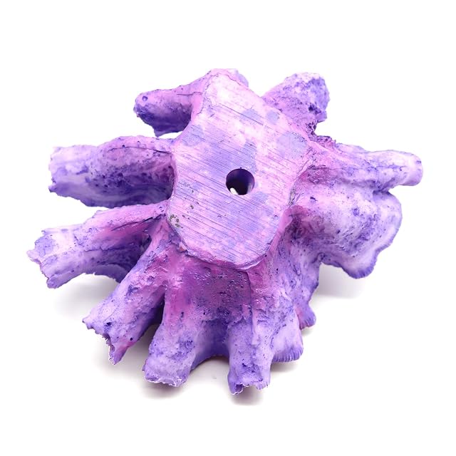 Foto 5 de 8 de Besimple Adornos de Coral para Acuario, decoración de Plantas de pecera, decoración para Paisaje de Acuario