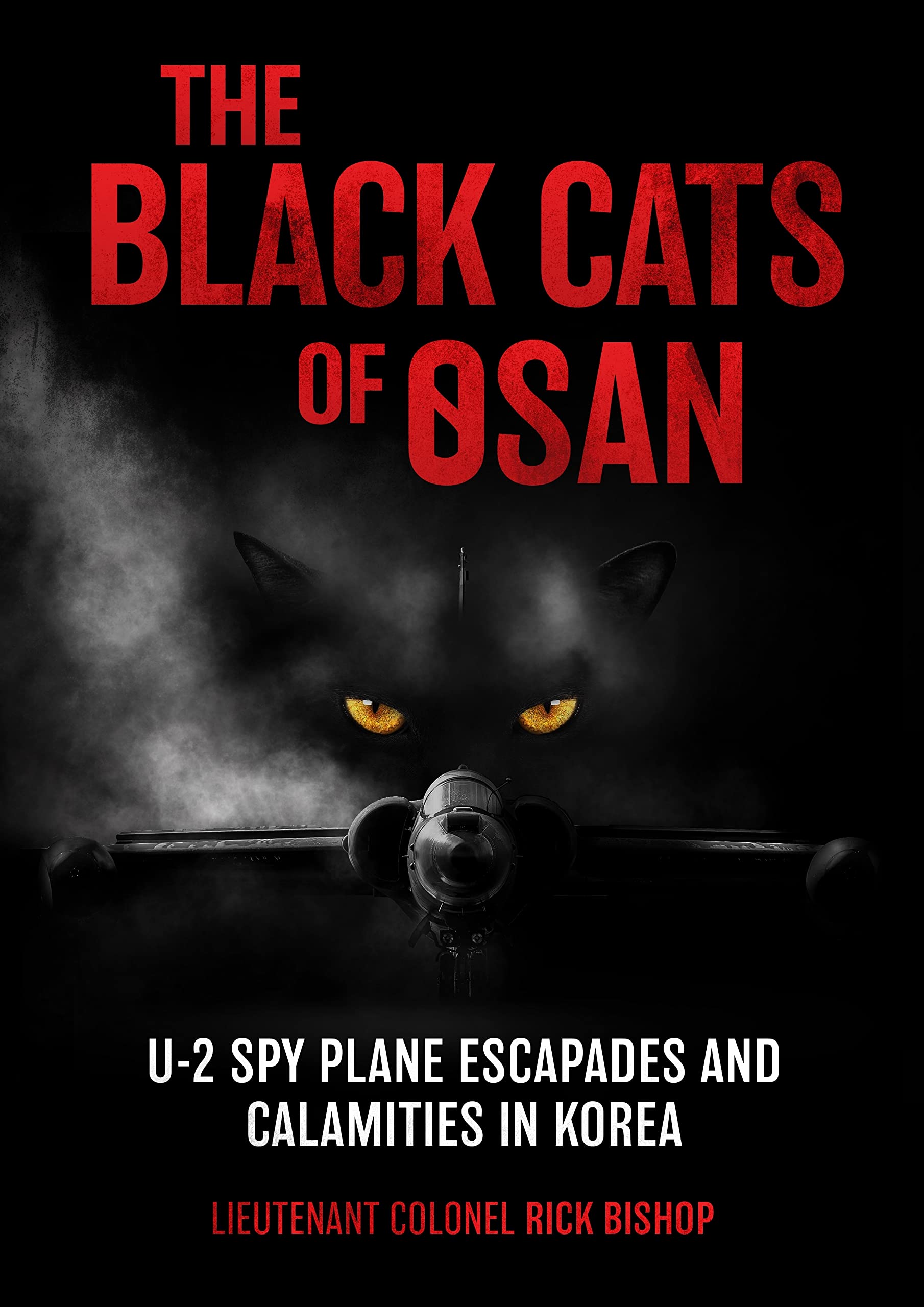 Black Cats Of Osan