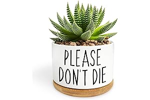 Please Don't Die Succulent Pot
