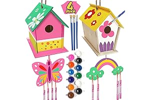 Craft Kits for Kids Ages 4-8