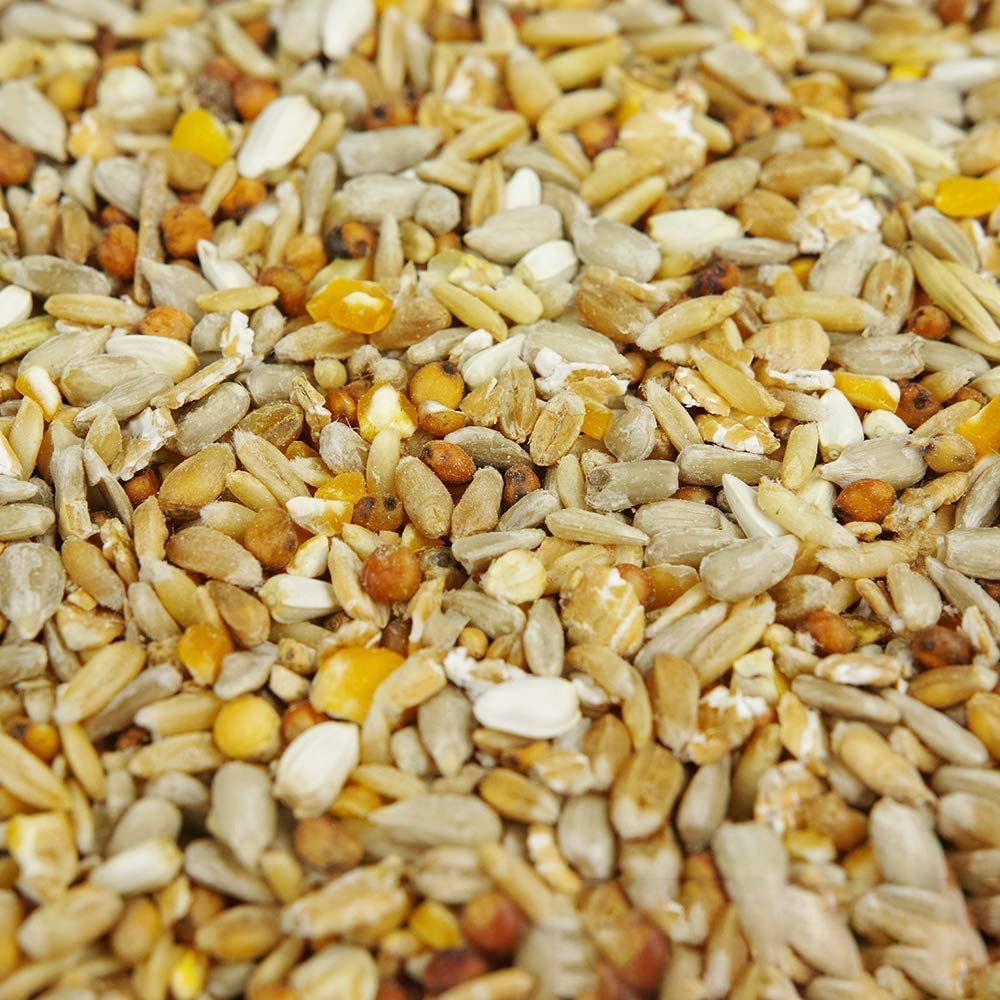 BusyBeaks No Mess Seed Mix | Garden Wild Bird Food Mixture | Husk and Shell Free Seeds | Premium Quality Balanced Formula | Protein-Rich Great Source of Energy | Attracts Various Birds (12.5kg)