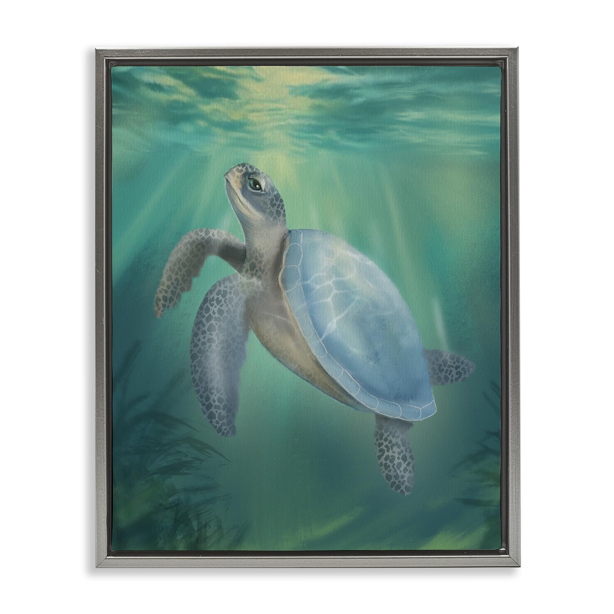 Stupell Industries 'Coastal Beach Sea Turtle', Floating Frame Canvas Art, Gray, 17 x 21 Inches, Easy to Hang and Sturdy, Made in USA, by Matthew Piotrowicz