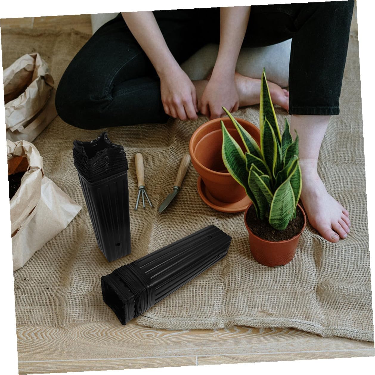 50pcs Black Thickened Nursery Plant Grow Bags 9x29cm Long Seedling Pots for Orange Citrus Gardening Supplies and Plant Nursery