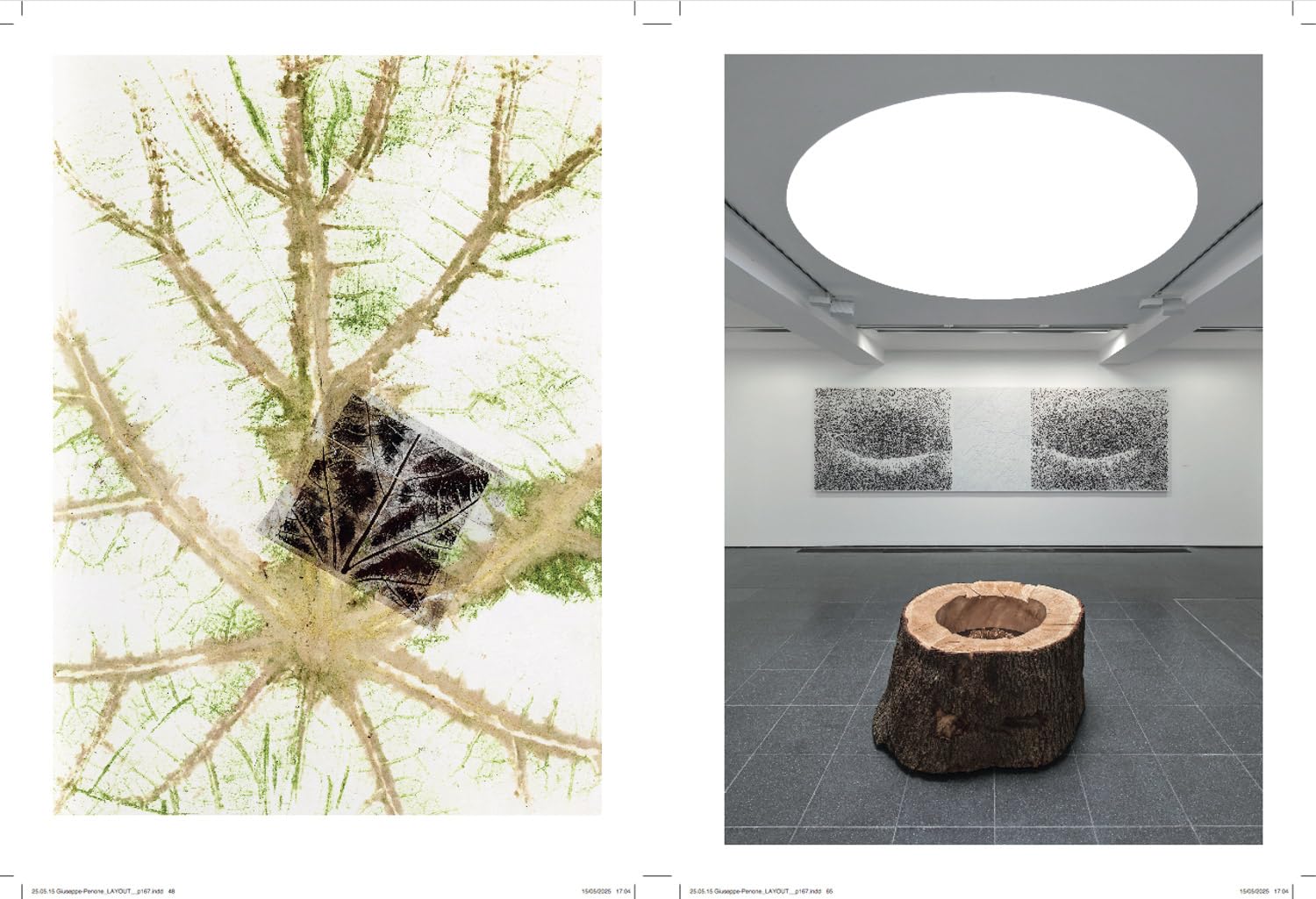 Giuseppe Penone Thoughts in the Roots /anglais: Serpentine Gallery, London