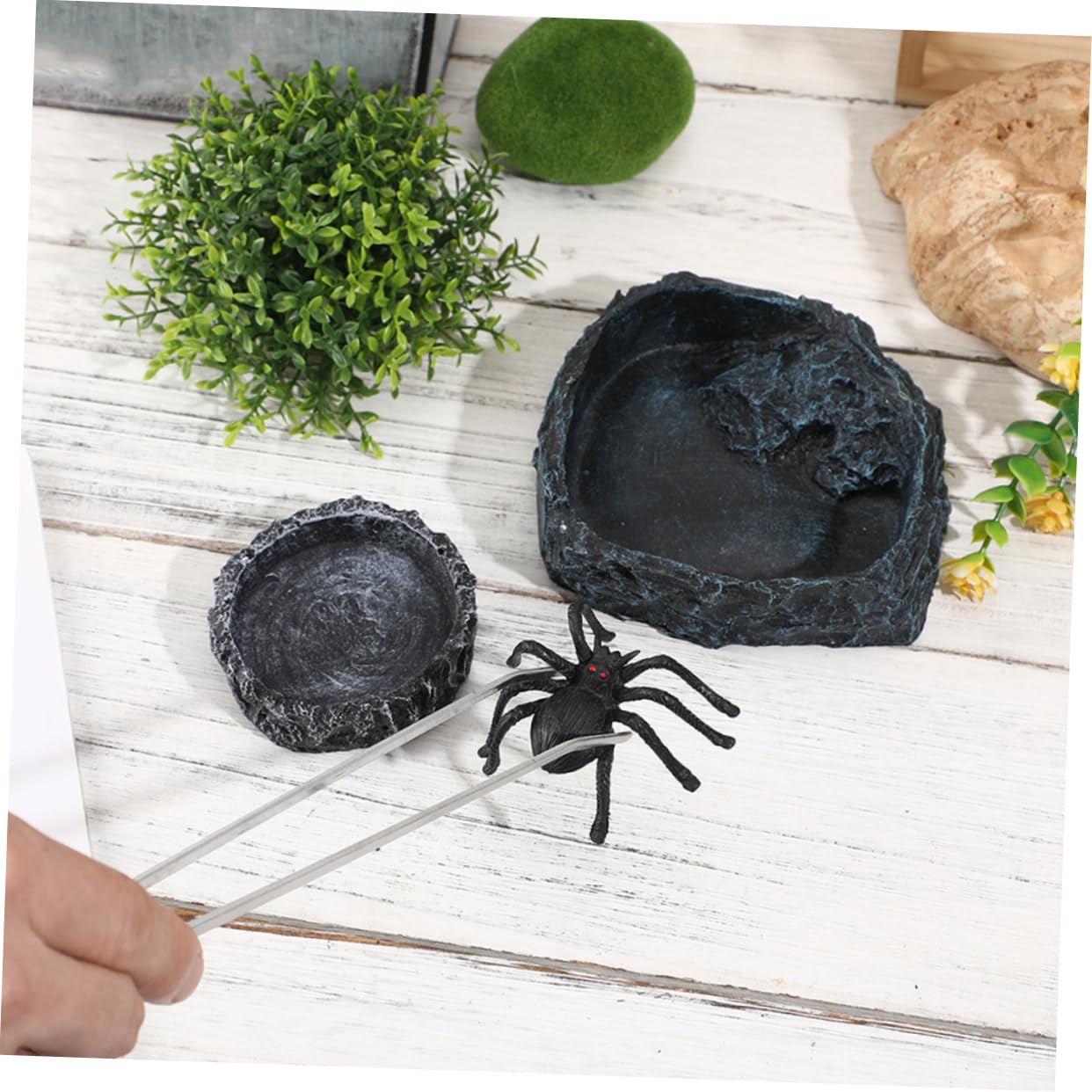 1set Ciotole per Reptili Ciotola per Tartarughe Ciotola per Cibo Rettili con Pinzette Accessori per Terrario e Alimentazione di Lucertole e