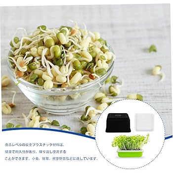 もやし Amazon.co.jp: Roczential 育苗ポット もやし栽培 スプラウト