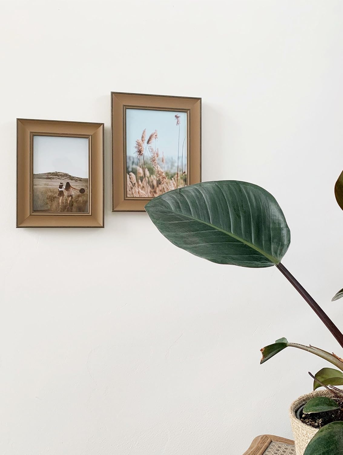 Deknudt Frames S46XF3_10.0x15.0 Resin Photo Frame 10 x 15 cm Brown