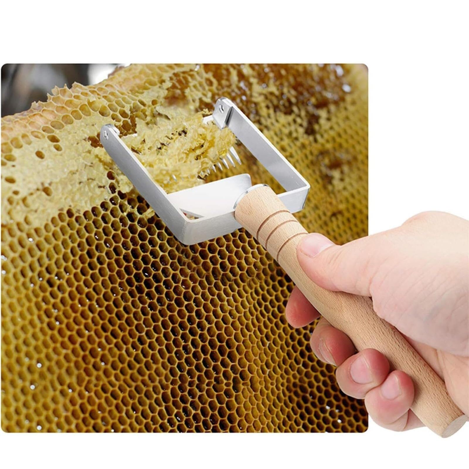 Kit de herramientas for miel de apicultura, 10 piezas, Kit de apicultor principiante y profesional, guantes de apicultor/cepillo for abejas/alimentador de abejas