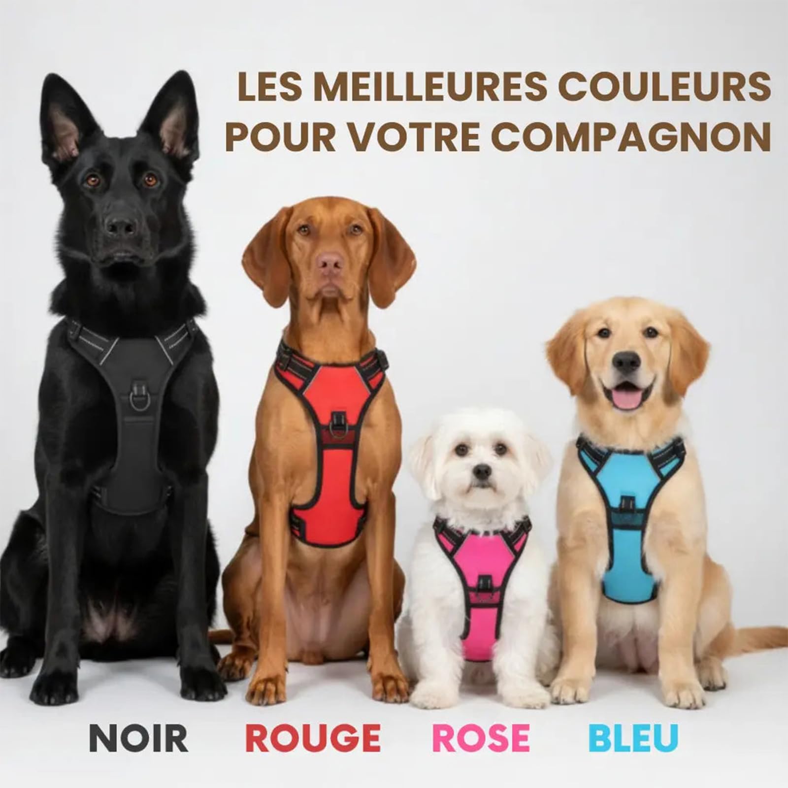 2026 Nouveau Harnais Anti Traction, Harnais Et Laisse pour Chien, Soulage Le Cou Et La Colonne Vertébrale du Chien, Facile À Mettre Effektive Kontrolle (D,S)