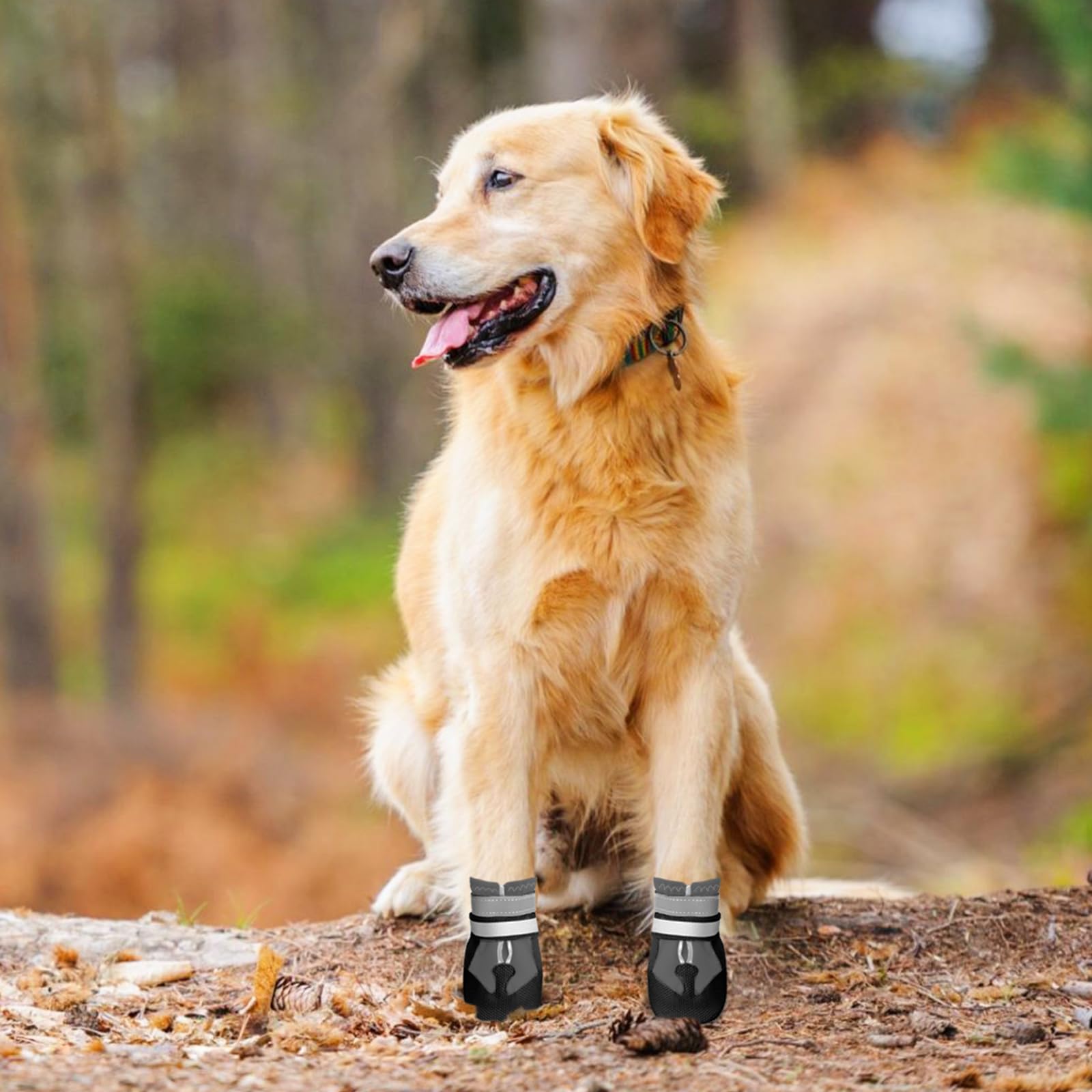 Set di 4 stivali per cani per zampe ferite, impermeabili, con cinghie riflettenti e suola antiscivolo, protezioni per zampe per cani di taglia piccola, media e grande (grigio, XL)