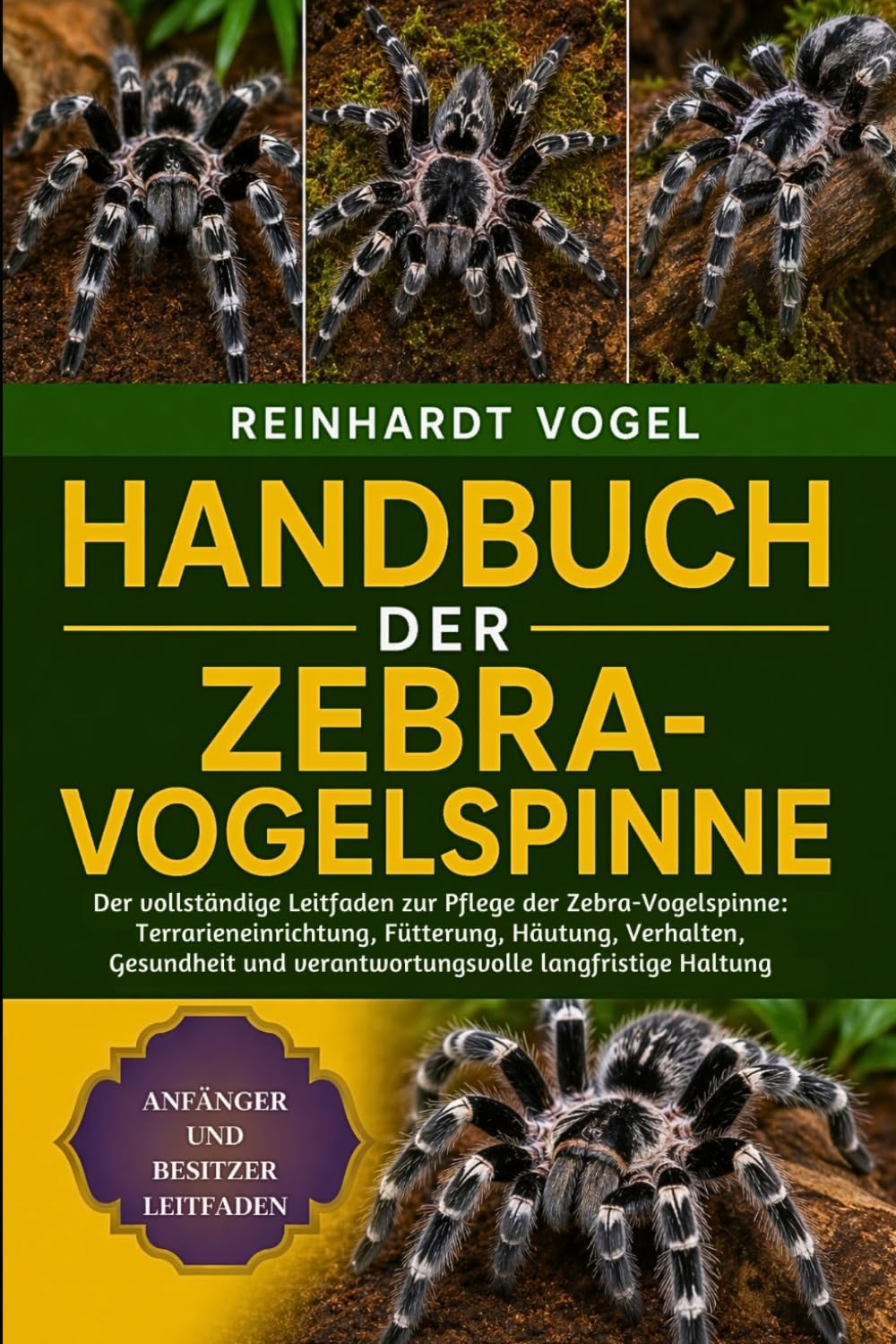 HANDBUCH DER ZEBRA-VOGELSPINNE: Der vollständige Leitfaden zur Pflege der Zebra-Vogelspinne: Terrarieneinrichtung, Fütterung, Häutung, Verhalten, ... und verantwortungsvolle langfristige Haltung