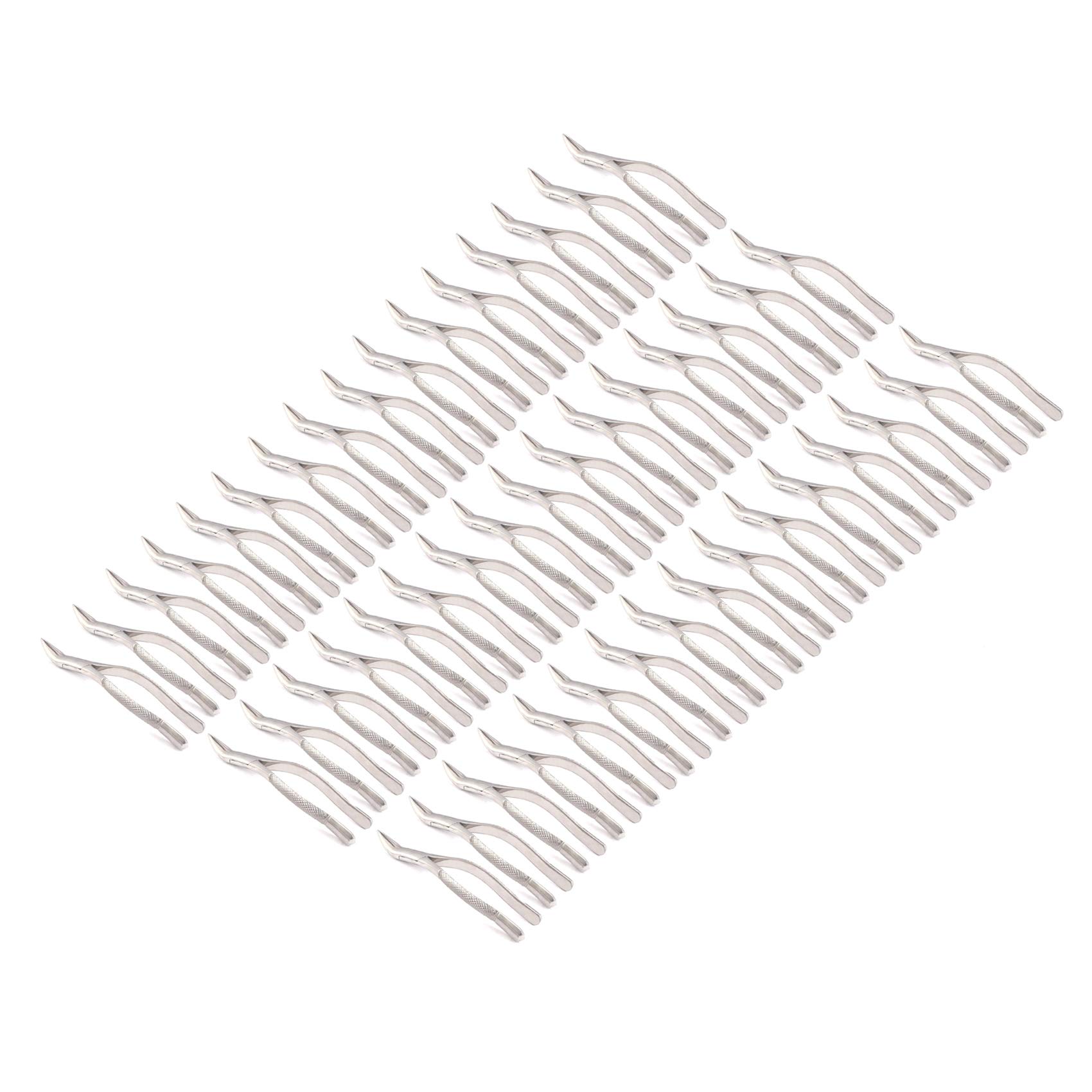 OdontoMed2011® Set Of 50 Dental Extracting Forceps #69 Dental Extraction Instruments ODM