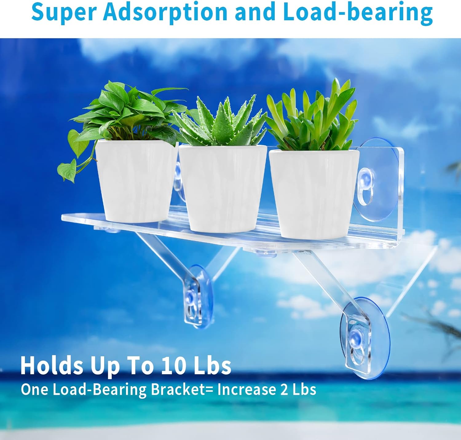2 Pack 12 Inch Suction Cup Shelf for Plants Window - 5IN Extra Wide with Load-Bearing Brackets Window Shelf for Plants, Acrylic Window Sill Extender for Growing Herbs, Micro Vegetables, Succulents
