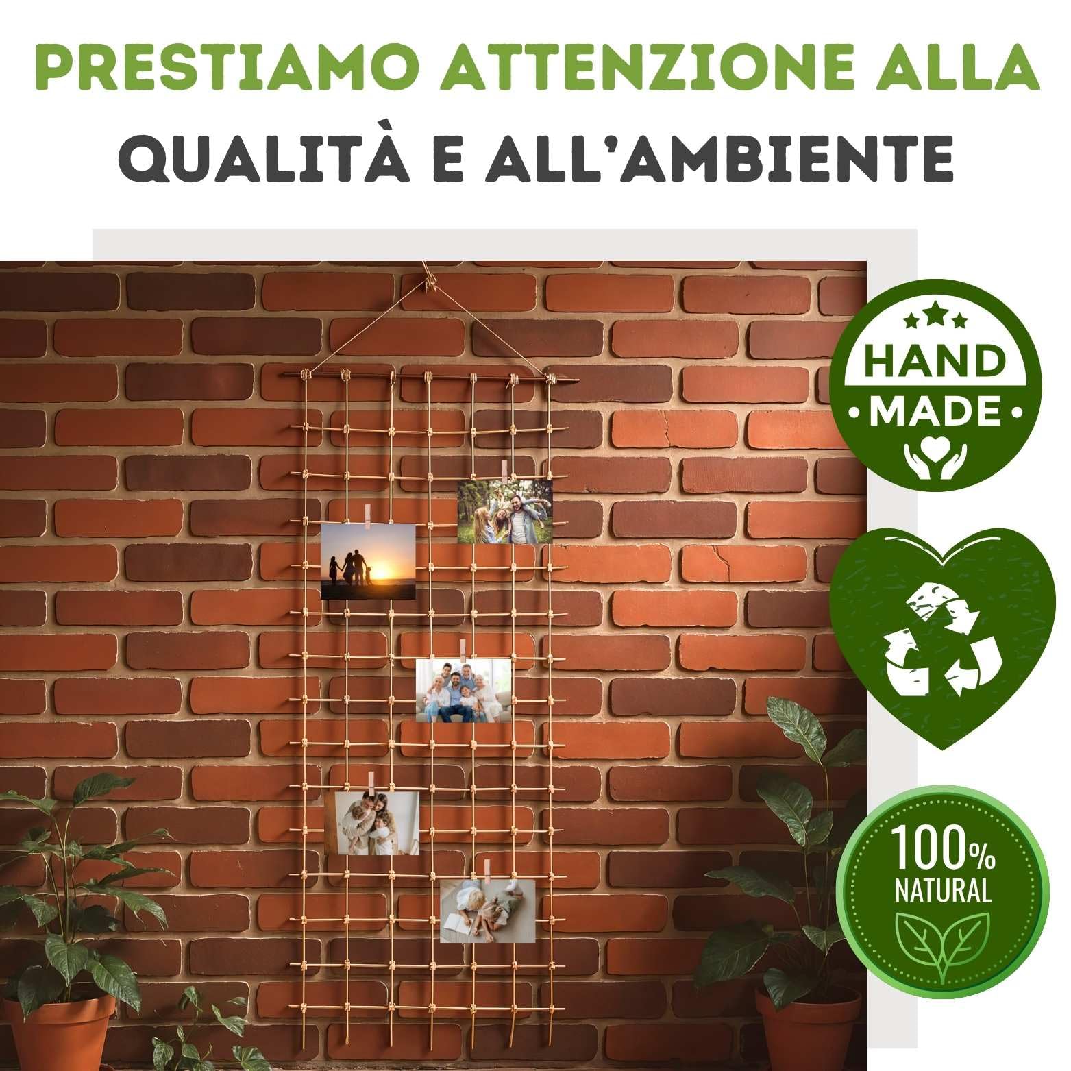 Piante rampicanti da balcone - Rampicanti - Rampicanti da balcone