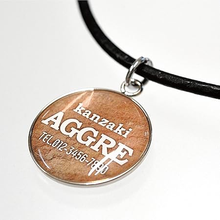 Amazon Co Jp 迷子札 チョーカー付き チャーム 名入れ ドッグタグ ネームプレート アクセサリー ペット 小型犬 中型犬 大型犬 スタンダードタイプ B 26 ペット用品