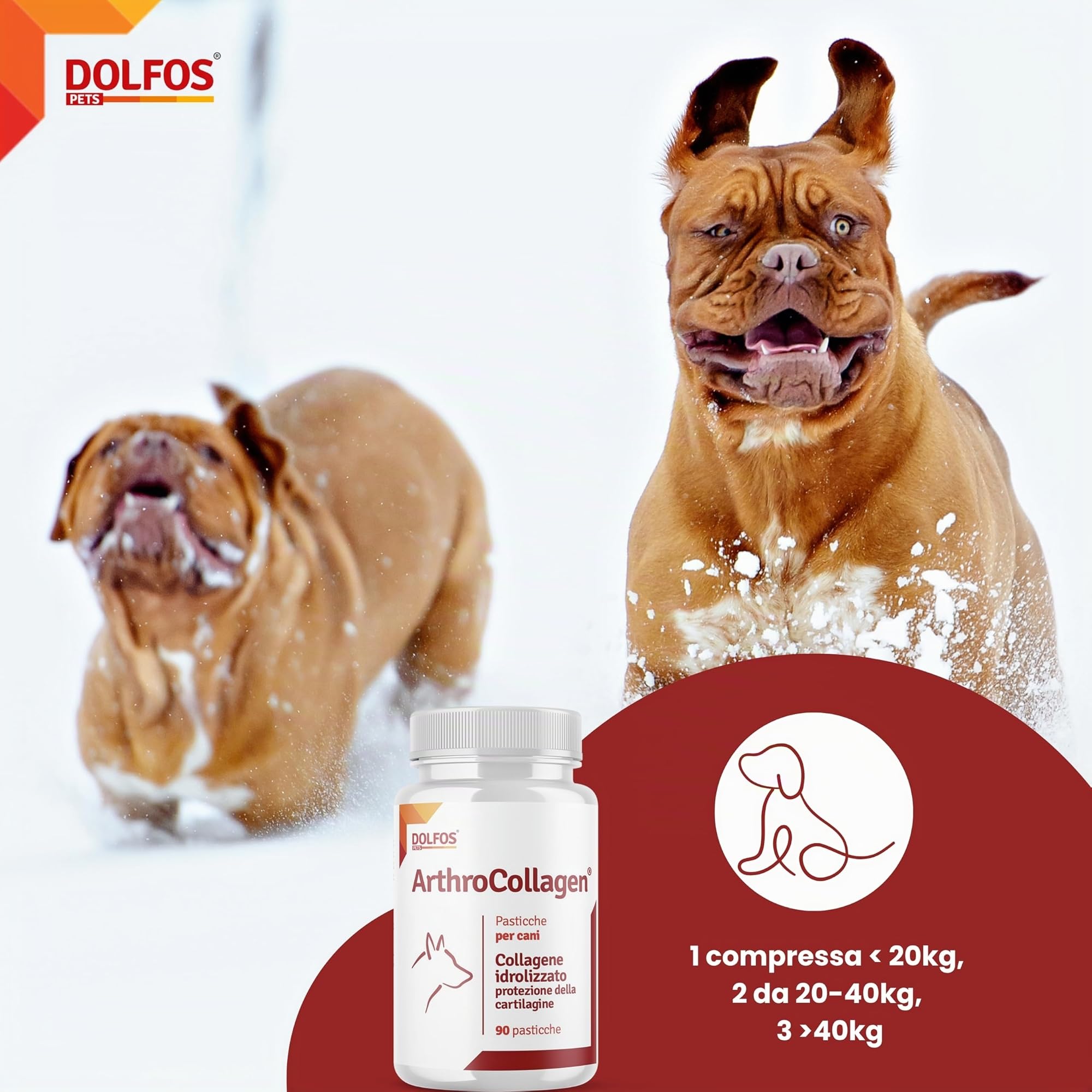 Dolfos ArthroCollagen Integratore Articolazioni Cane, 90 Cpr Masticabili, Joint Care, Integratori per Cani con Collagene, Omega 3, Vitamine, Antinfiammatorio Articolazioni Cani
