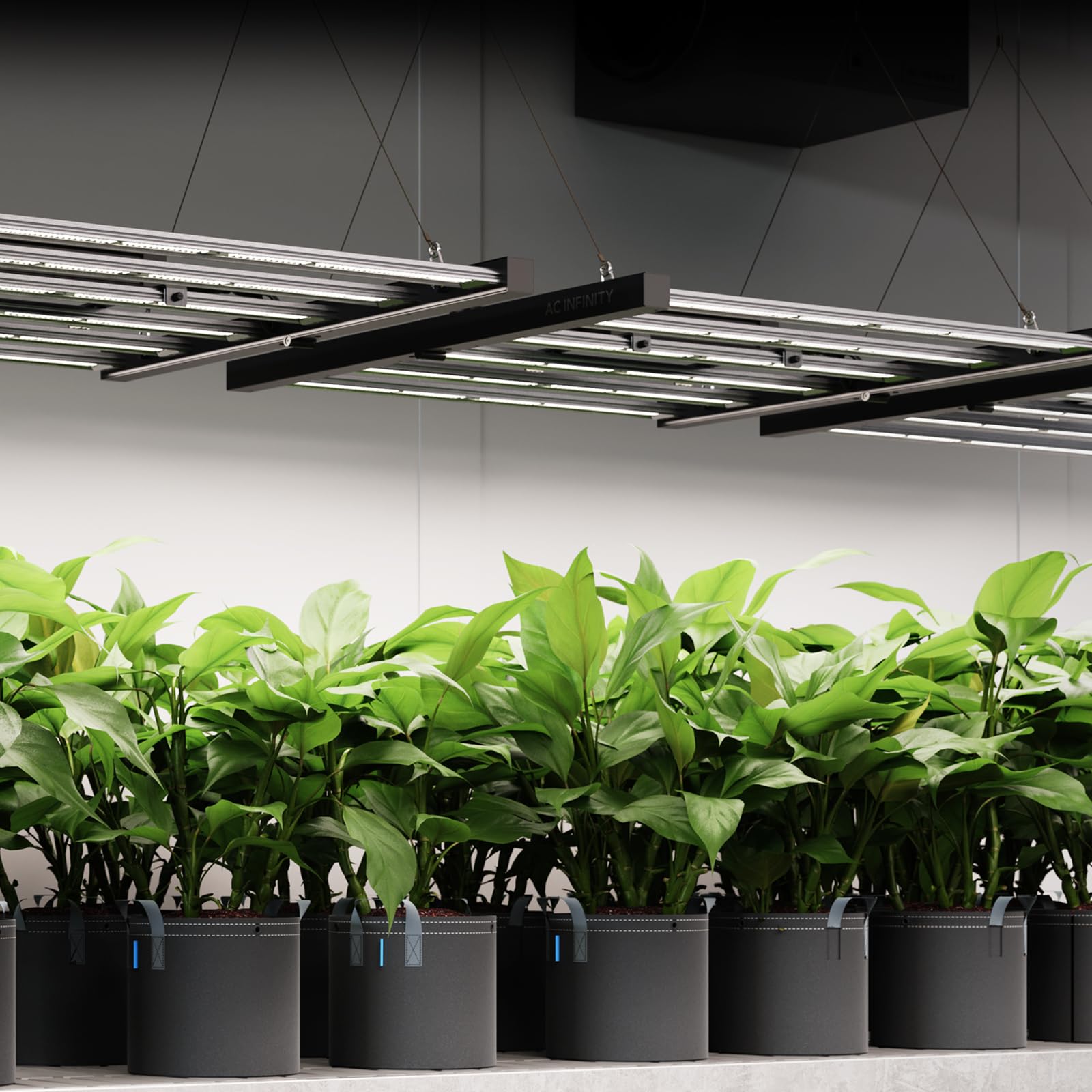 AC Infinity IONFRAME EVO4 LED Grow Light 300 W für 90 x 90 cm Grow Zelte, mit 896 LM301H EVO LEDs und Vollspektrum-Licht für Indoor-Grow & Gewächshaus