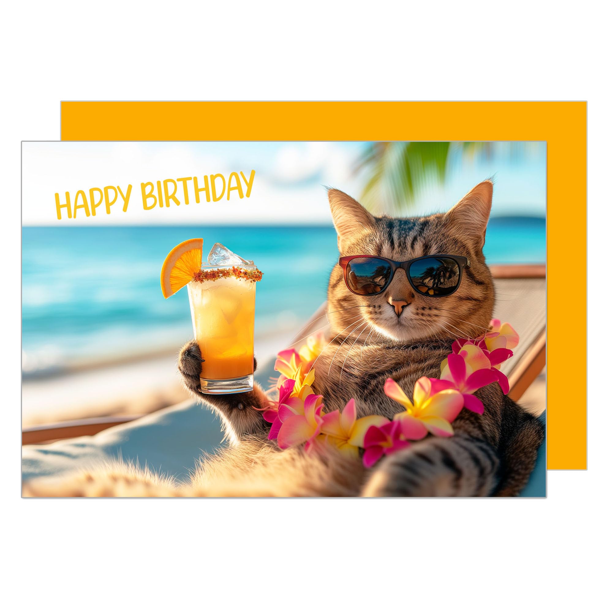 Premium Birthday Card with envelope. Greeting Happy Birthday for him or her man woman friend cool cat funny humour (G3521 SW024)
