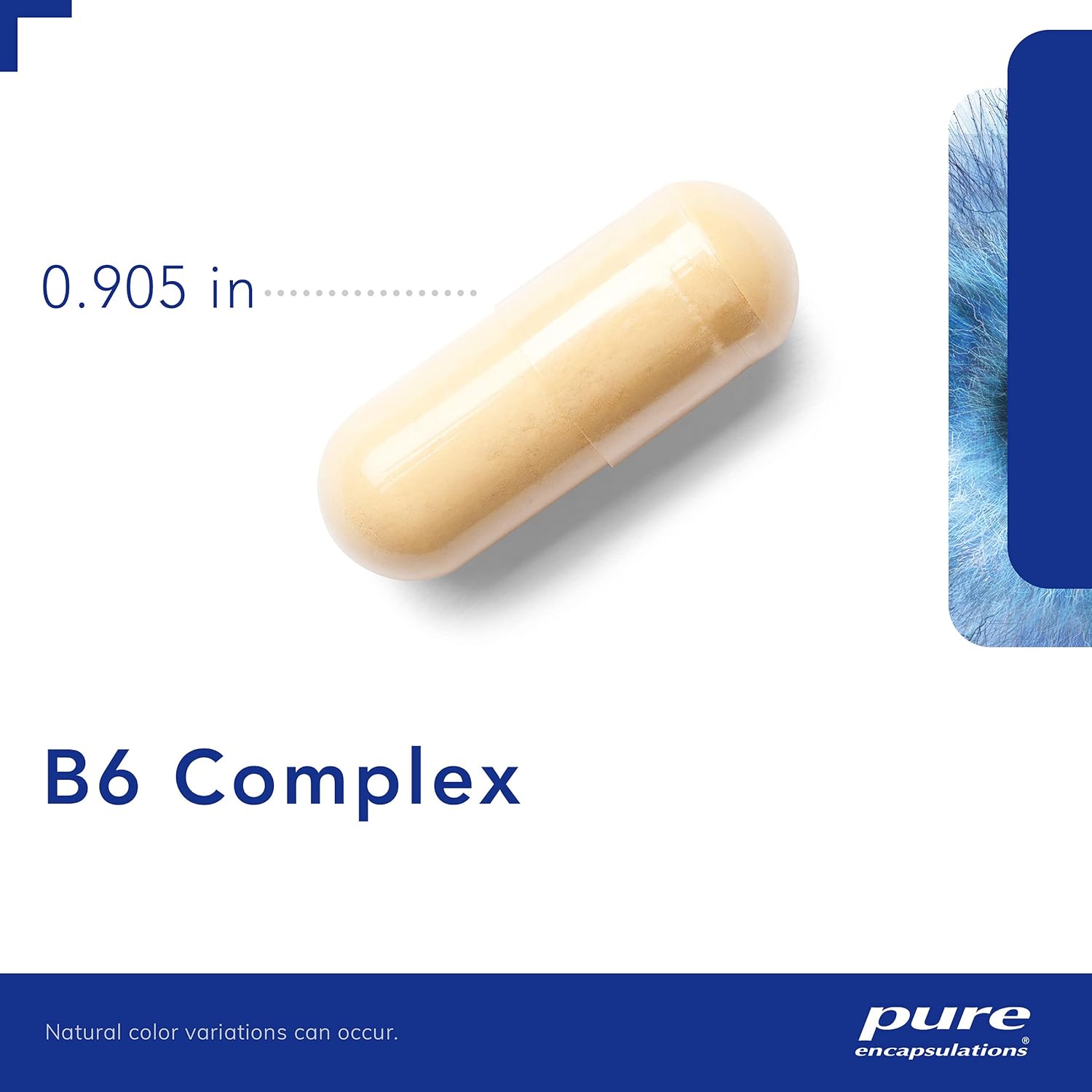 Pure Encapsulations B6 Complex | Vitamin B6 Supplement to Support Cellular, Cardiovascular, Neurological, and Psychological Health* | 120 Capsules : Health & Household
