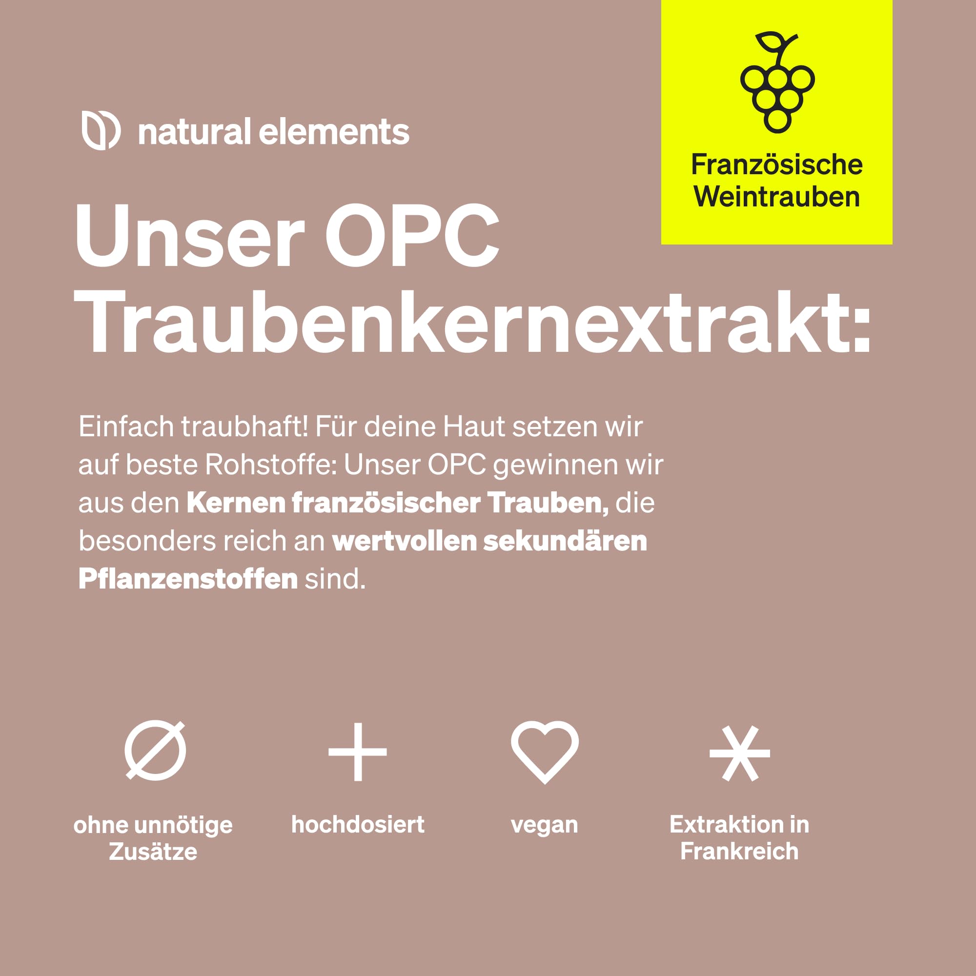 natural elements OPC Traubenkernextrakt - 240 hochdosierte Kapseln für 8 Monate - Reines OPC aus europäischen Weintrauben - Vegan, in Deutschen Laboren getestet