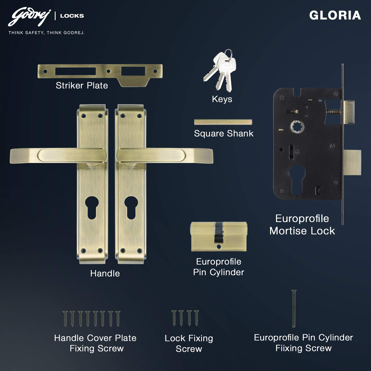 Godrej Locking Solutions and Systems Gloria Antique Brass Door Handle with Lock Set 2C for Home and Office Entrance Door (200 mm, Gold) 4