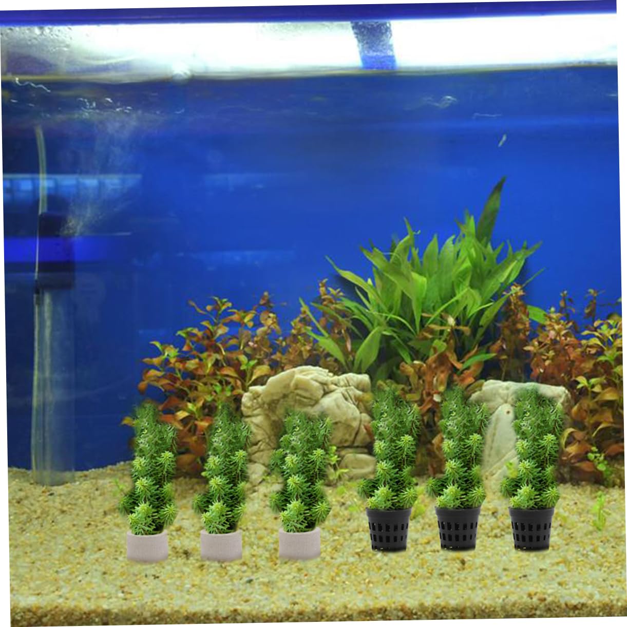 YARNOW 2 Set Coppa per piante acquatiche accessorio per piante acquatiche per acquario attrezzo per riparare le erbacce acquatiche fissatore per piante d'acquario ceramica