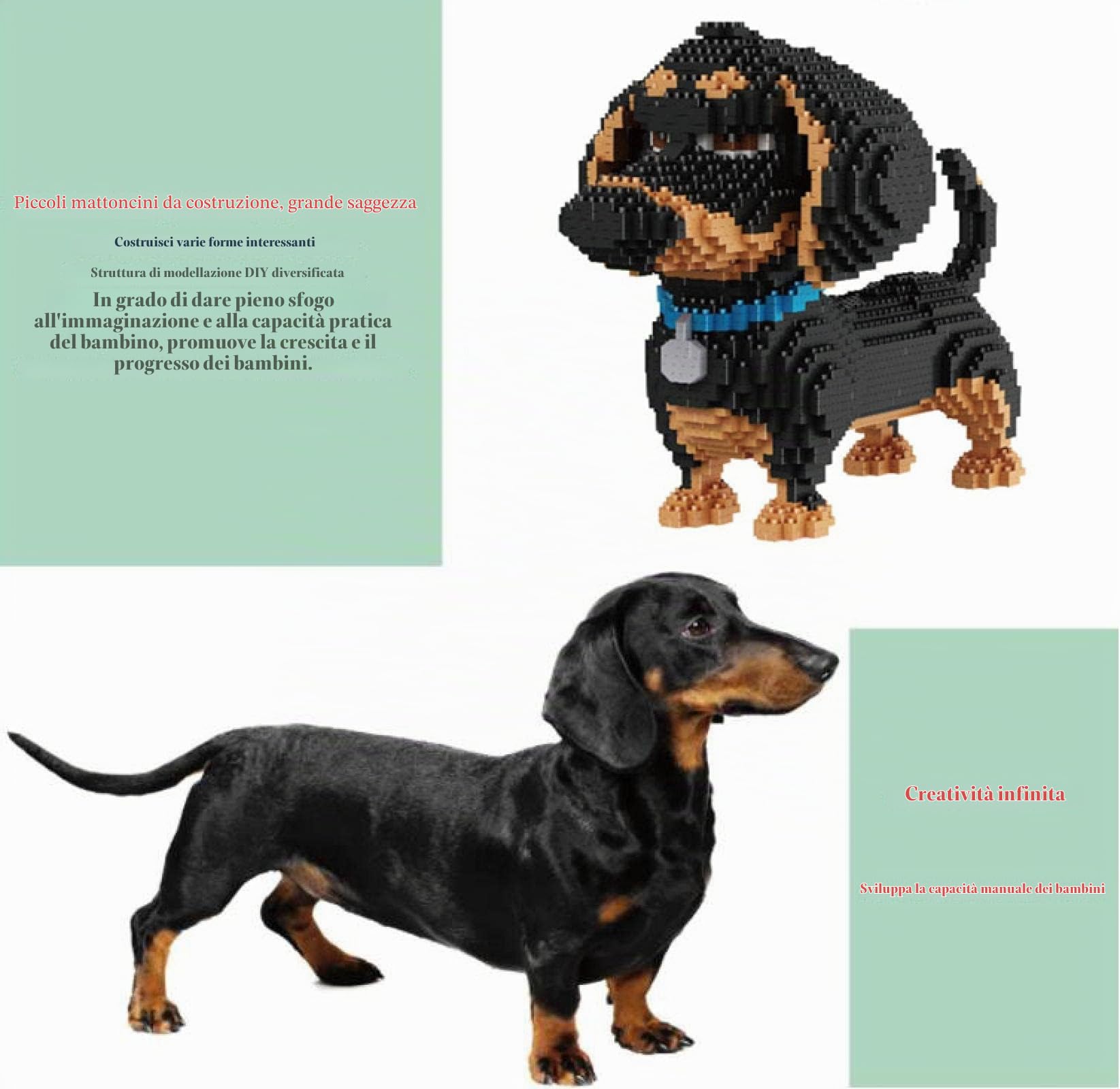 2000 + pezzi Super Cute Dog Model Building Blocks-Nano Mini Building Blocks Regalo fai da te, adatto per adulti e bambini per completare un gioco di costruzione, Bassotto
