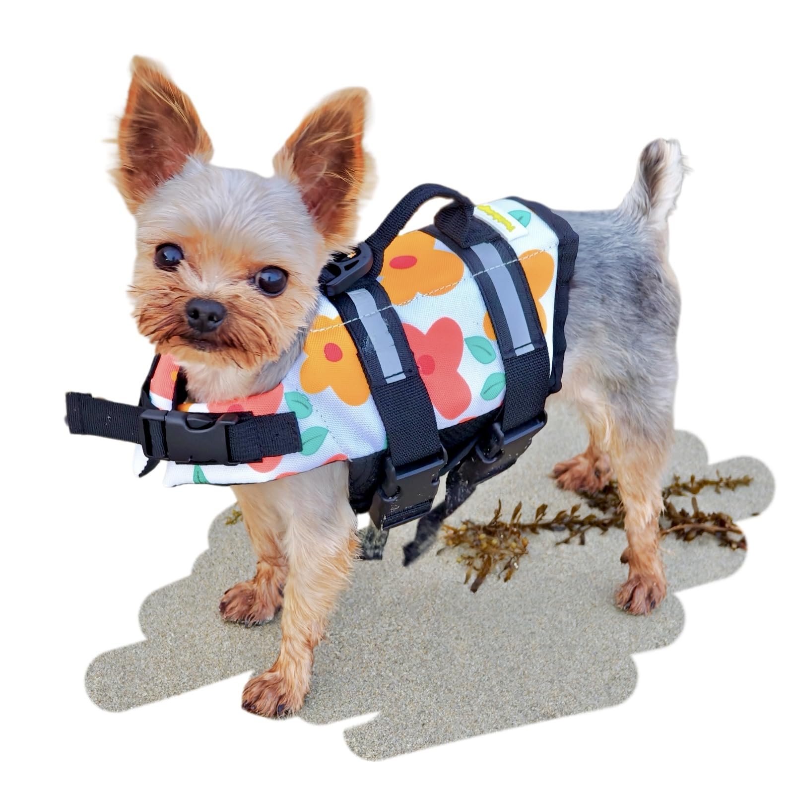 Teacup Chaleco salvavidas para perros | Chaleco salvavidas para cachorros pequeños | Ayuda de natación con asa y bandas reflectantes | Traje de baño para perros y gatos de recién nacidos y