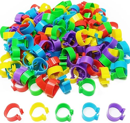 Miniatura 7 de 200 bandas de pierna de codorniz Coturnix de 0.315 pulgadas, bandas de pierna de pollo, bandas de pierna de pollo, anillos de 816200.984 in