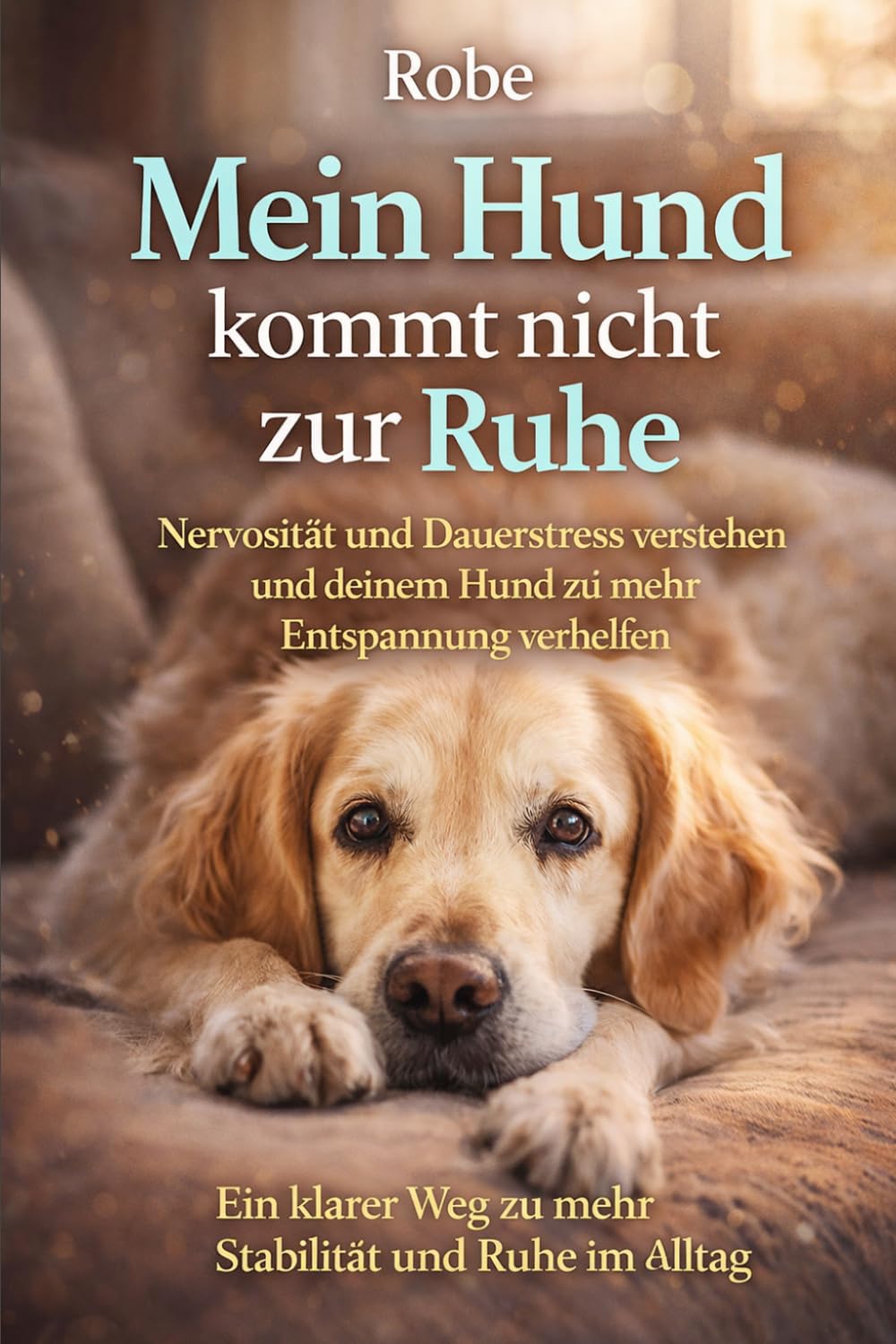 Mein Hund kommt nicht zur Ruhe: Nervosität und Dauerstress verstehen und deinem Hund zu mehr Entspannung verhelfen