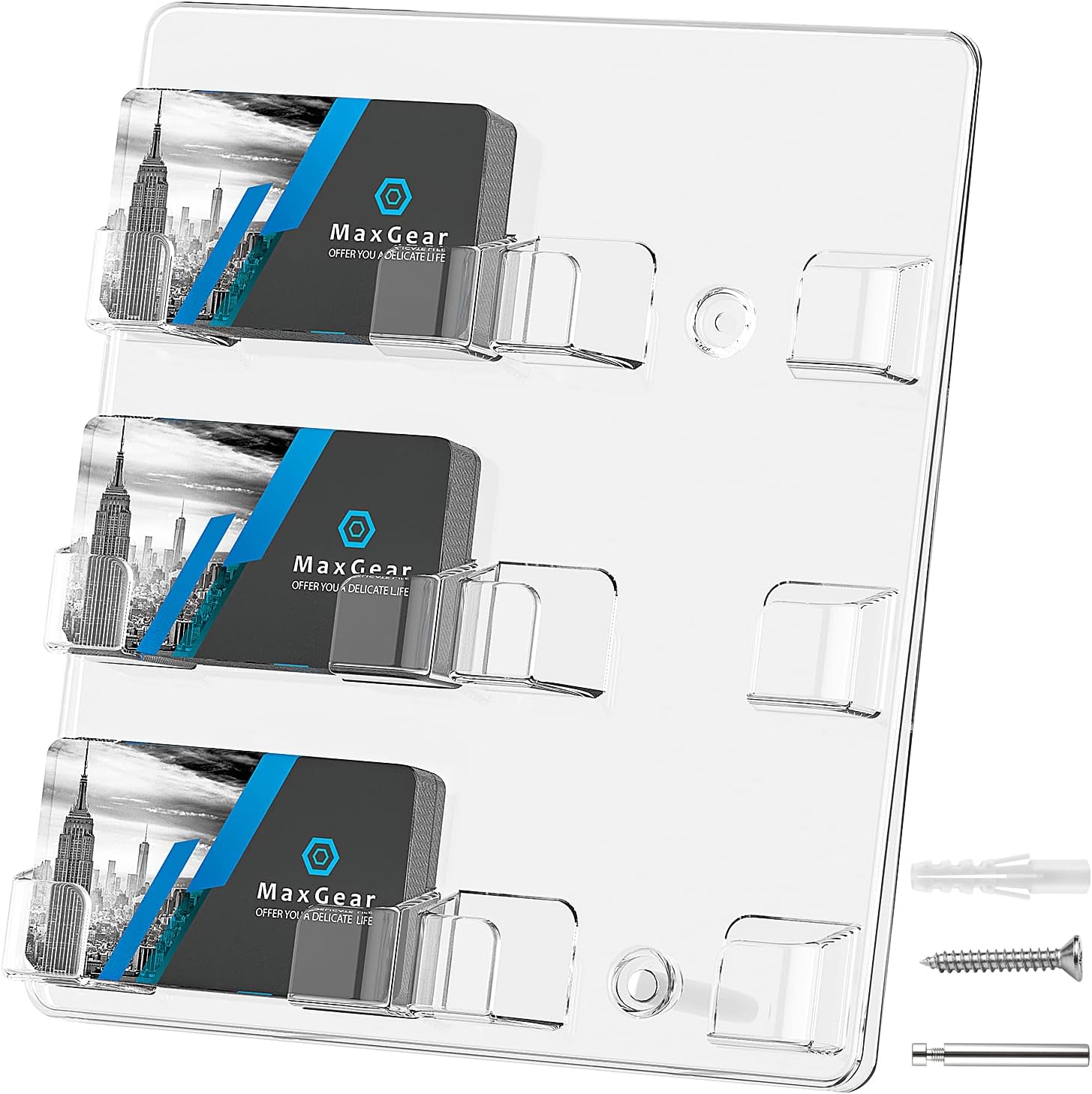 MaxGear Acrylic Business Card Holder Wall Mount, Business