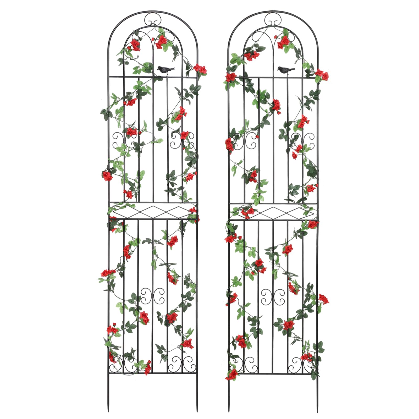 Macteyia 2 Pack 86.7