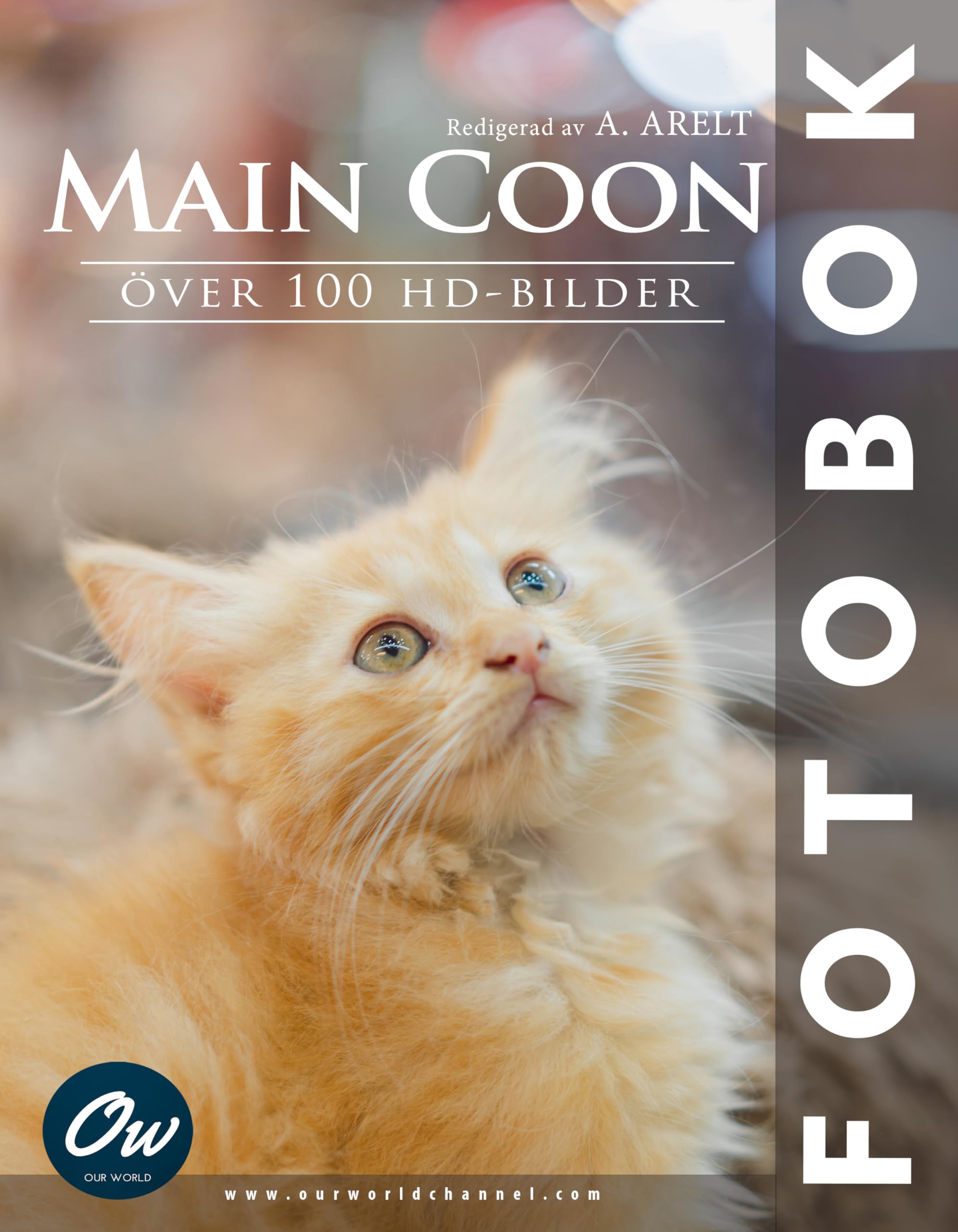 Livre photo Maine Coon album photographique félin idée cadeau collectionneur édition suédoise originale